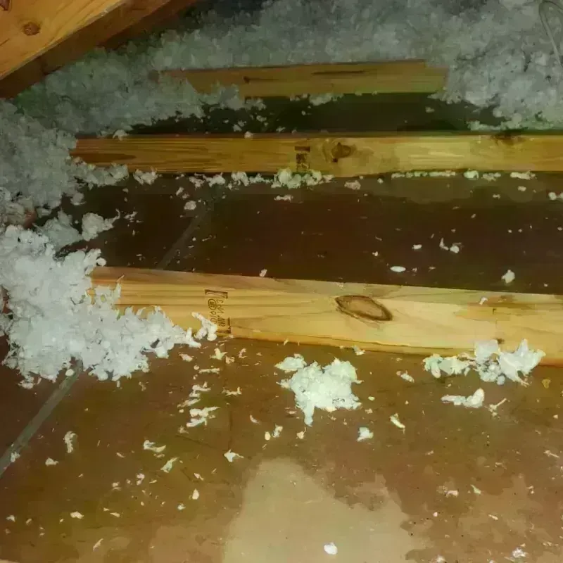 Attic Water Damage in Rutherford College, NC